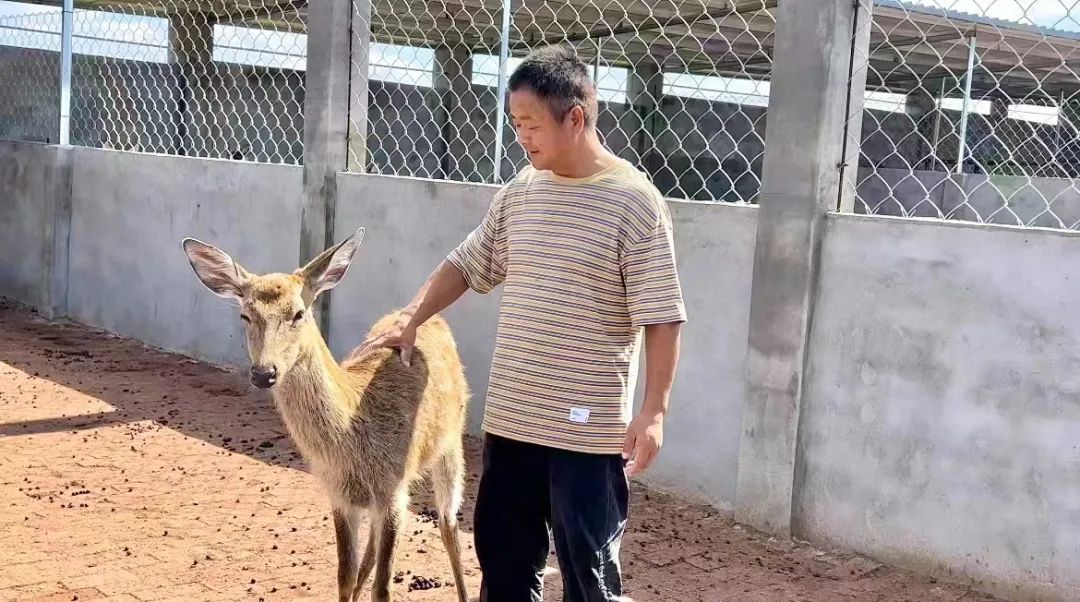 银钻娱乐账号